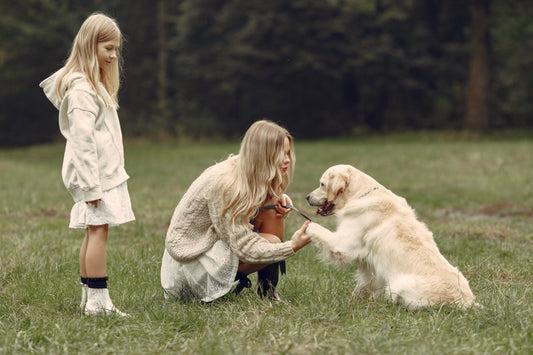 Best Dog Breeds for Busy Families (+ Products You'll Need)