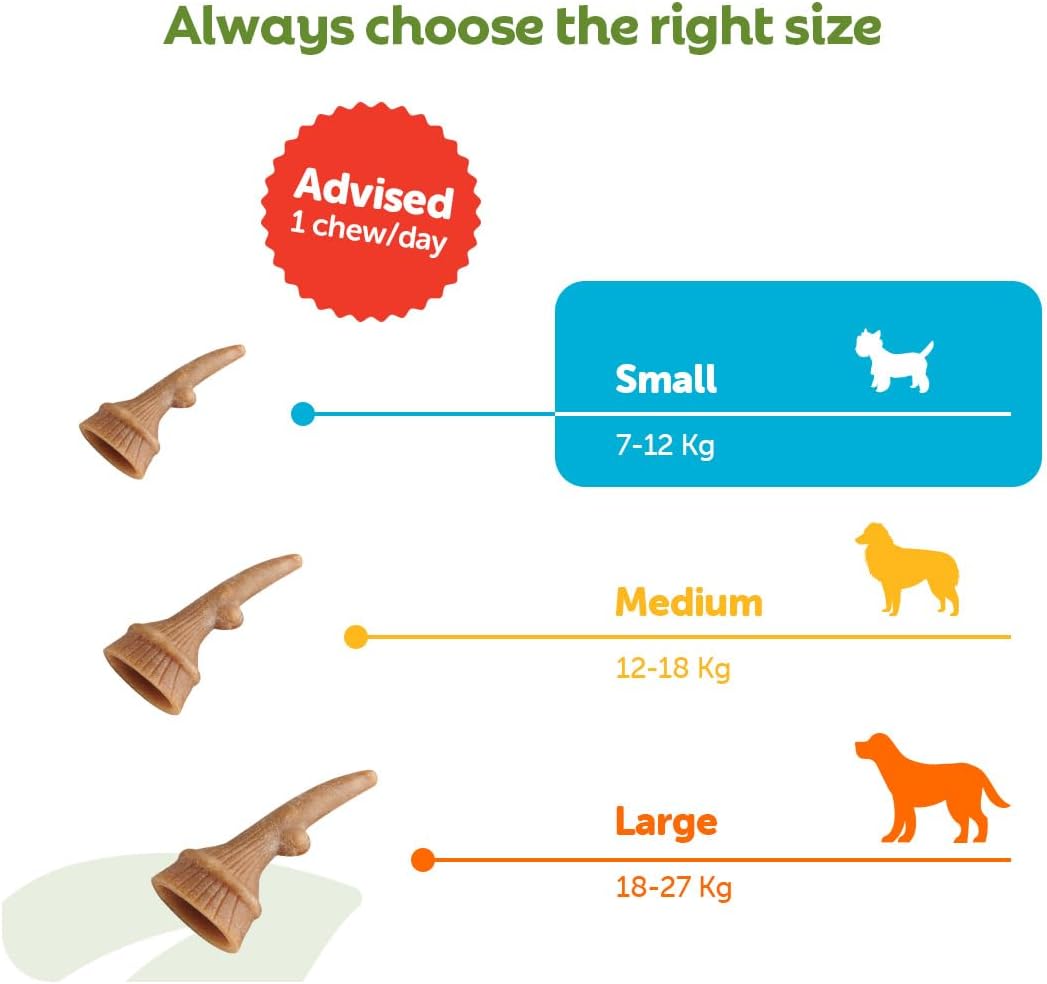 Whimzees Small Antler Dog Dental Chews - 24 Pack