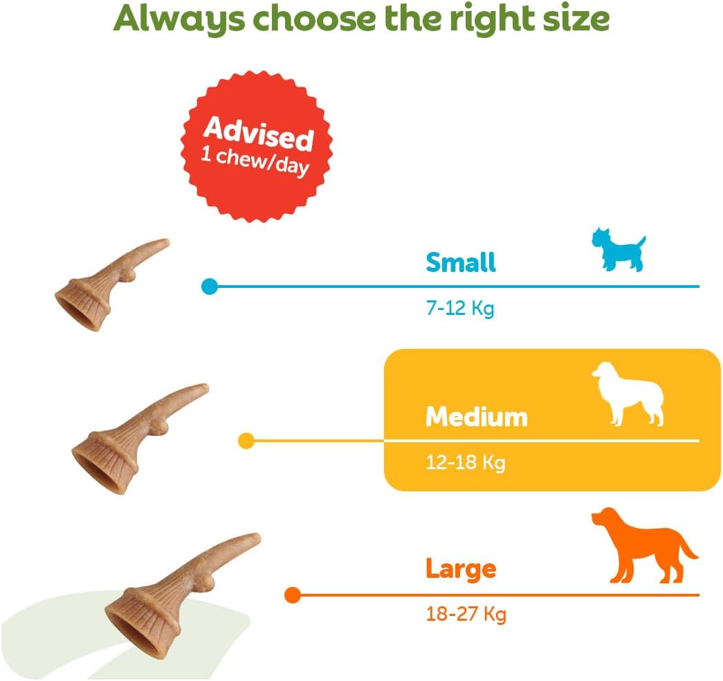 Whimzees Medium Antler Dog Dental Chews - 12 Pack