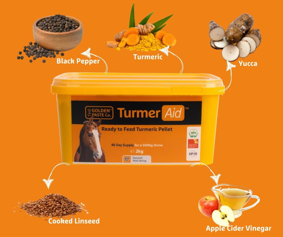 The Golden Paste Company TurmerAid Turmeric Horse Supplement