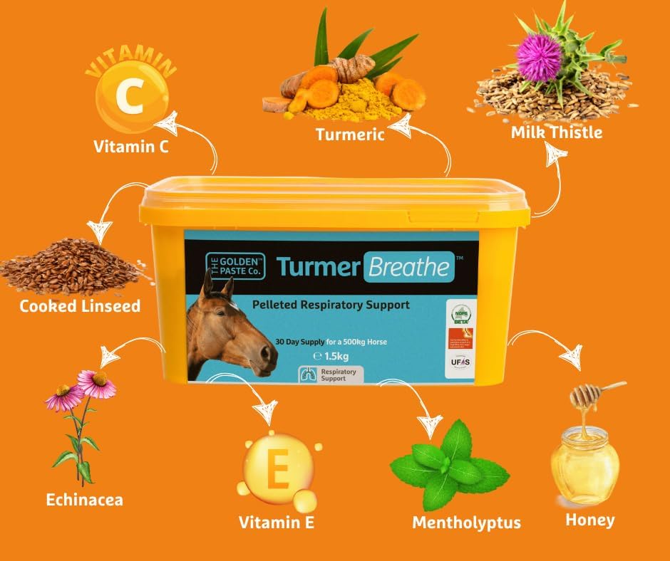 The Golden Paste Company TurmerBreathe 1.5kg Respiratory Supplement