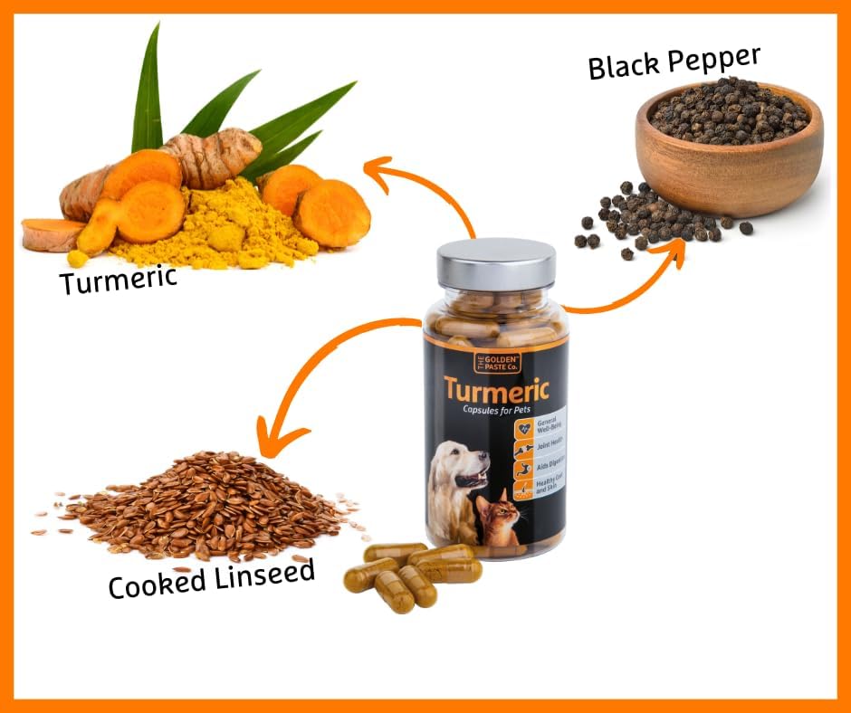 The Golden Paste Company Turmeric Capsules for Dogs & Cats - 90 Capsules