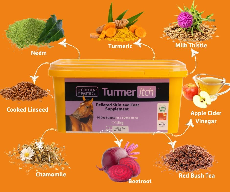 The Golden Paste Company TurmerItch for Horses 1.5kg Skin & Coat Supplement