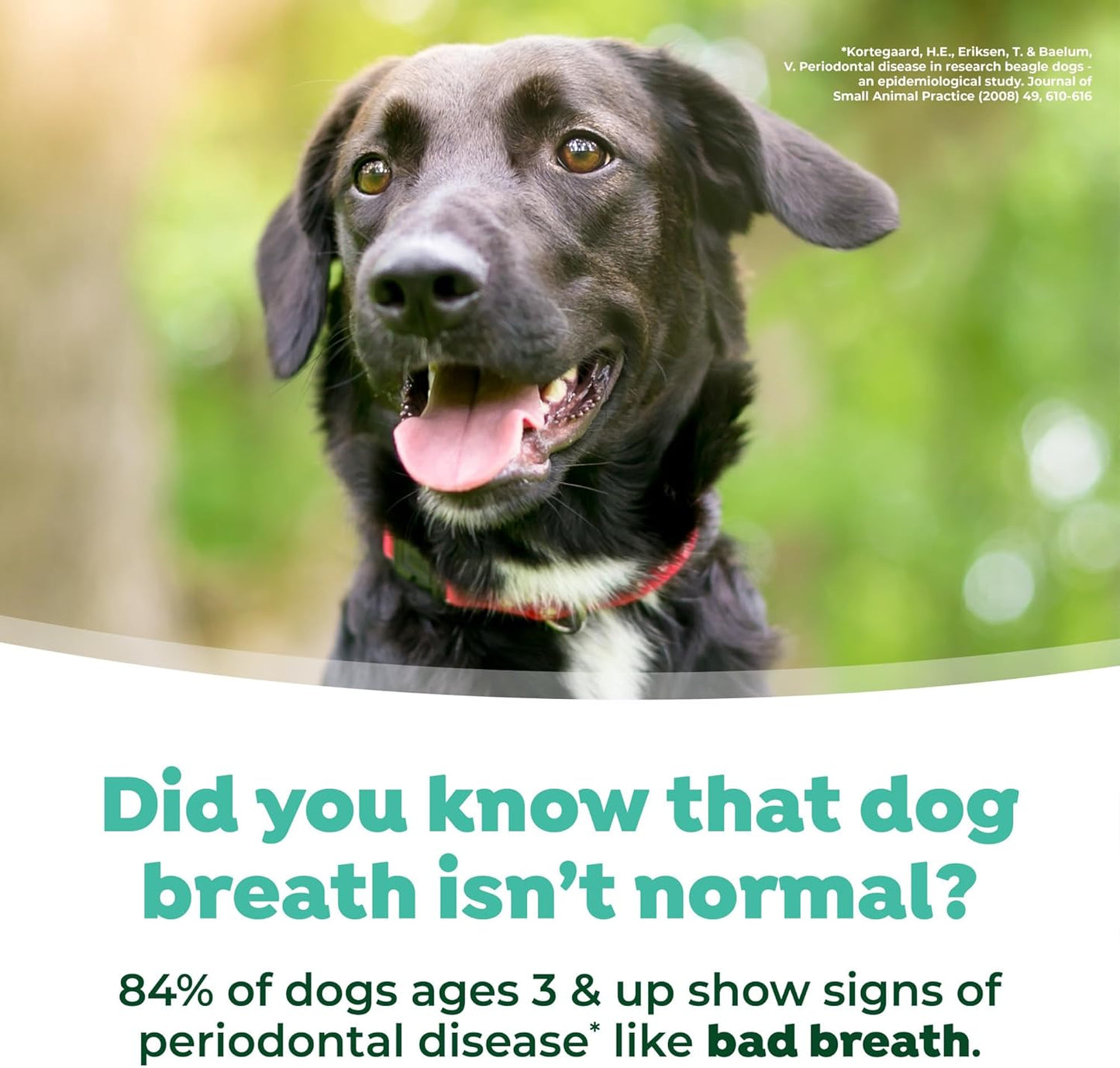 TropiClean Oral Care Water Additive 473ml