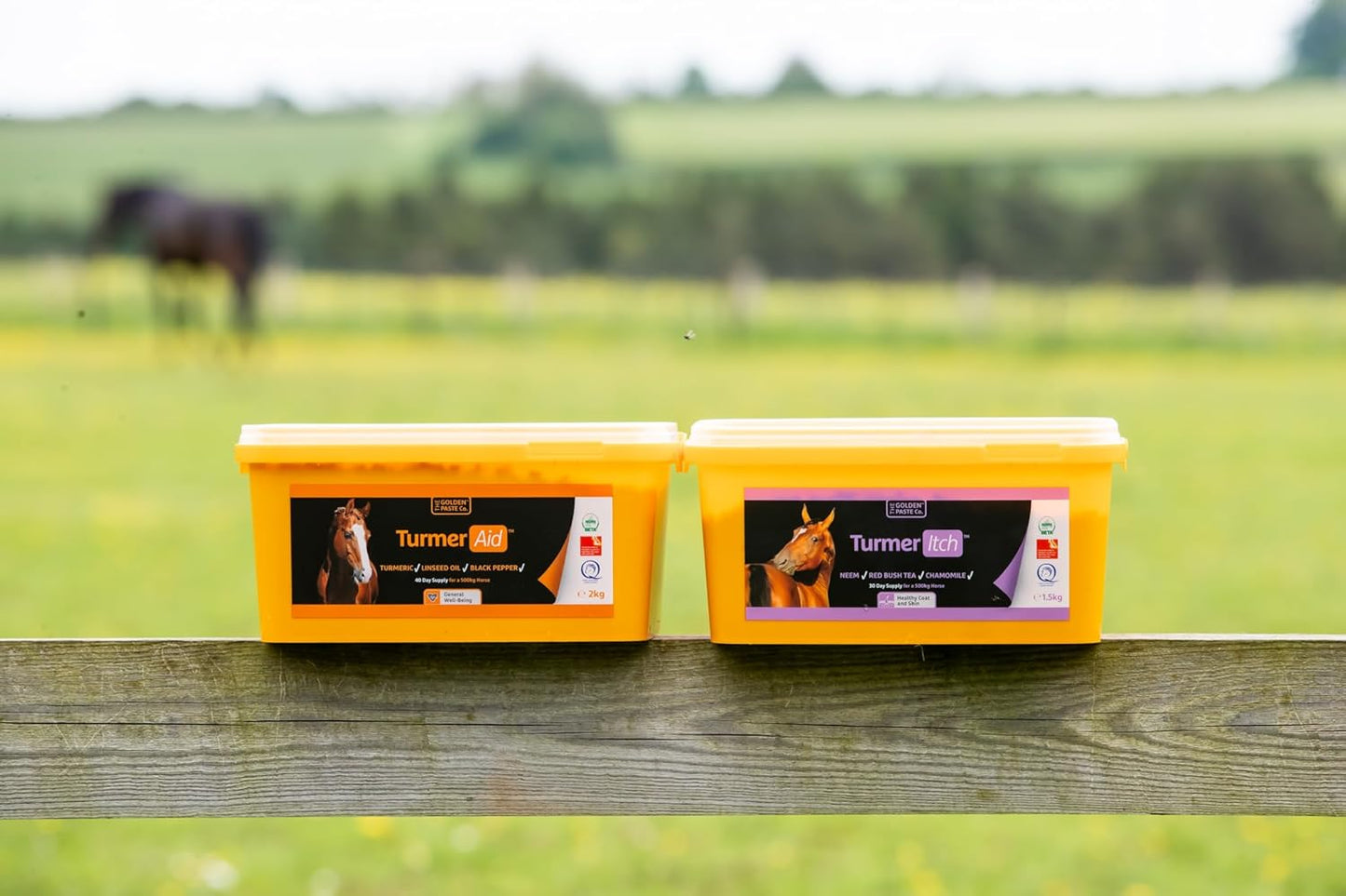 The Golden Paste Company TurmerItch for Horses 1.5kg Skin & Coat Supplement