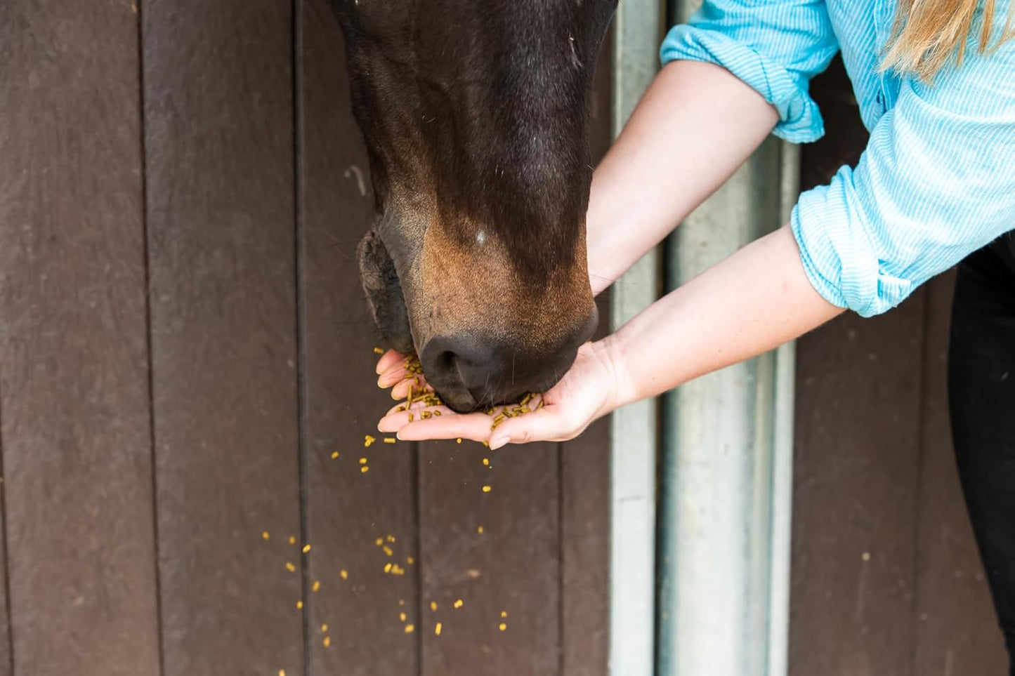 The Golden Paste Company TurmerAid Turmeric Horse Supplement