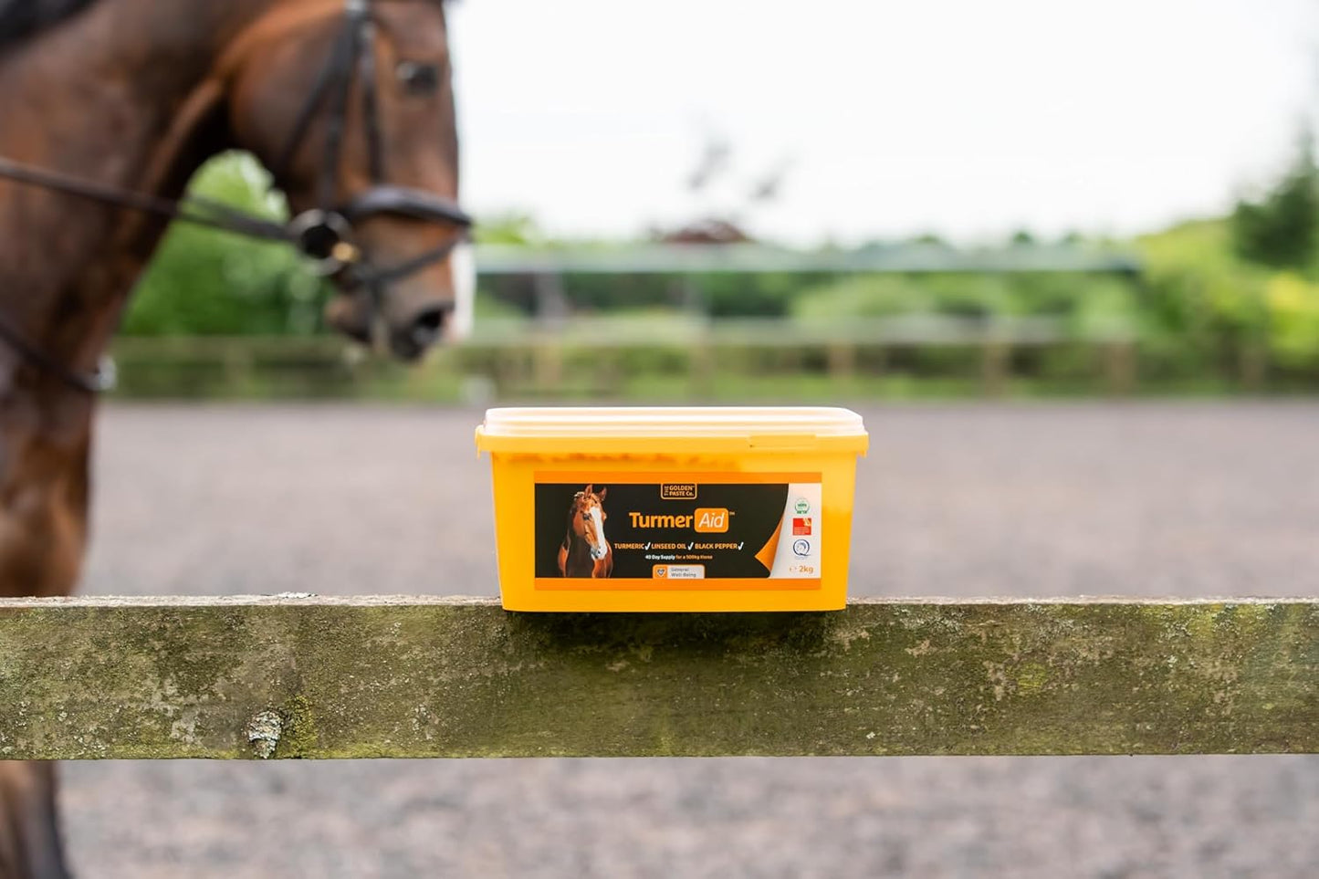The Golden Paste Company TurmerAid Turmeric Horse Supplement