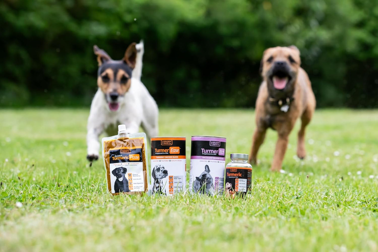 The Golden Paste Company Golden Turmeric Paste for Pets 100g