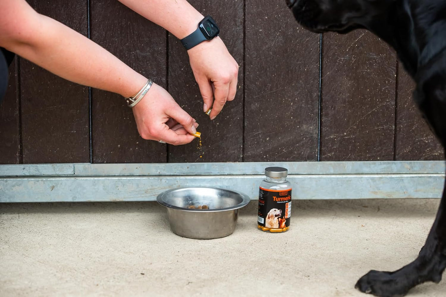 The Golden Paste Company Turmeric Capsules for Dogs & Cats - 90 Capsules