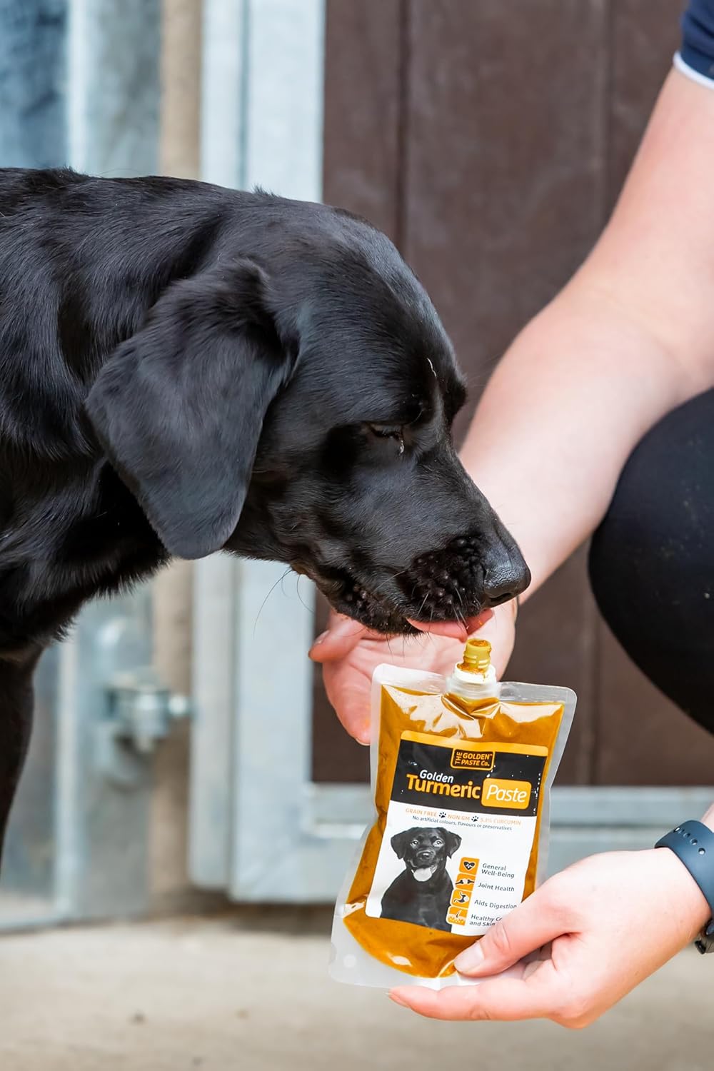 The Golden Paste Company Golden Turmeric Paste for Pets 100g