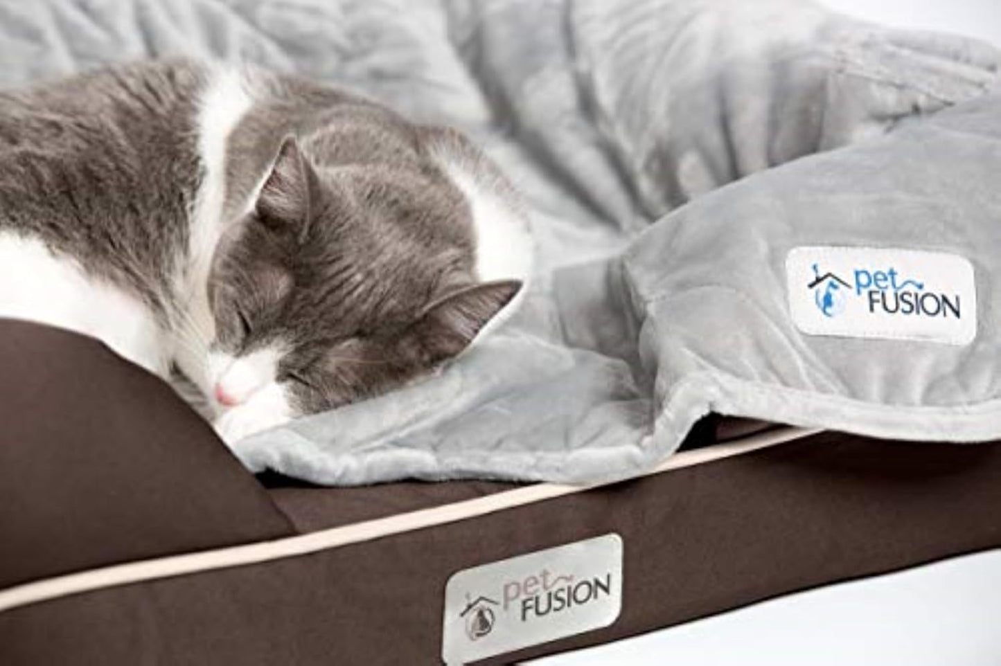 PetFusion Ultimate Memory Foam Dog Lounge Brown Small for Dogs and Cats