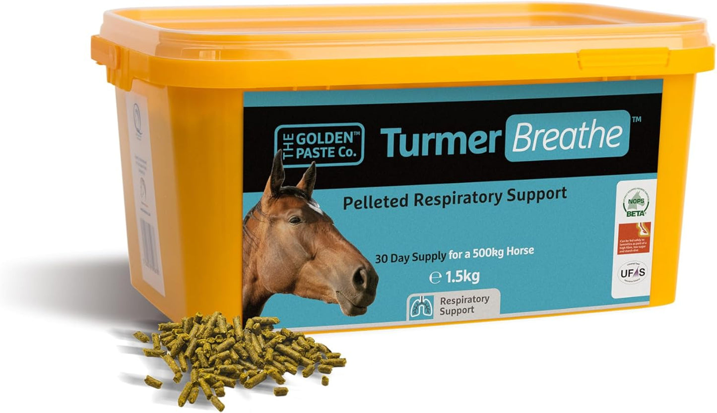The Golden Paste Company TurmerBreathe 1.5kg Respiratory Supplement