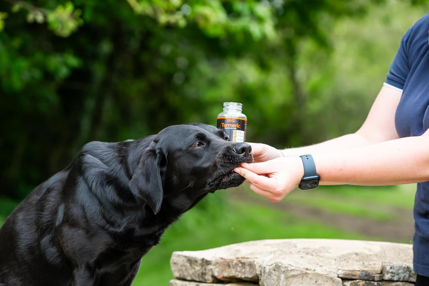 The Golden Paste Company Turmeric Capsules for Dogs & Cats - 90 Capsules