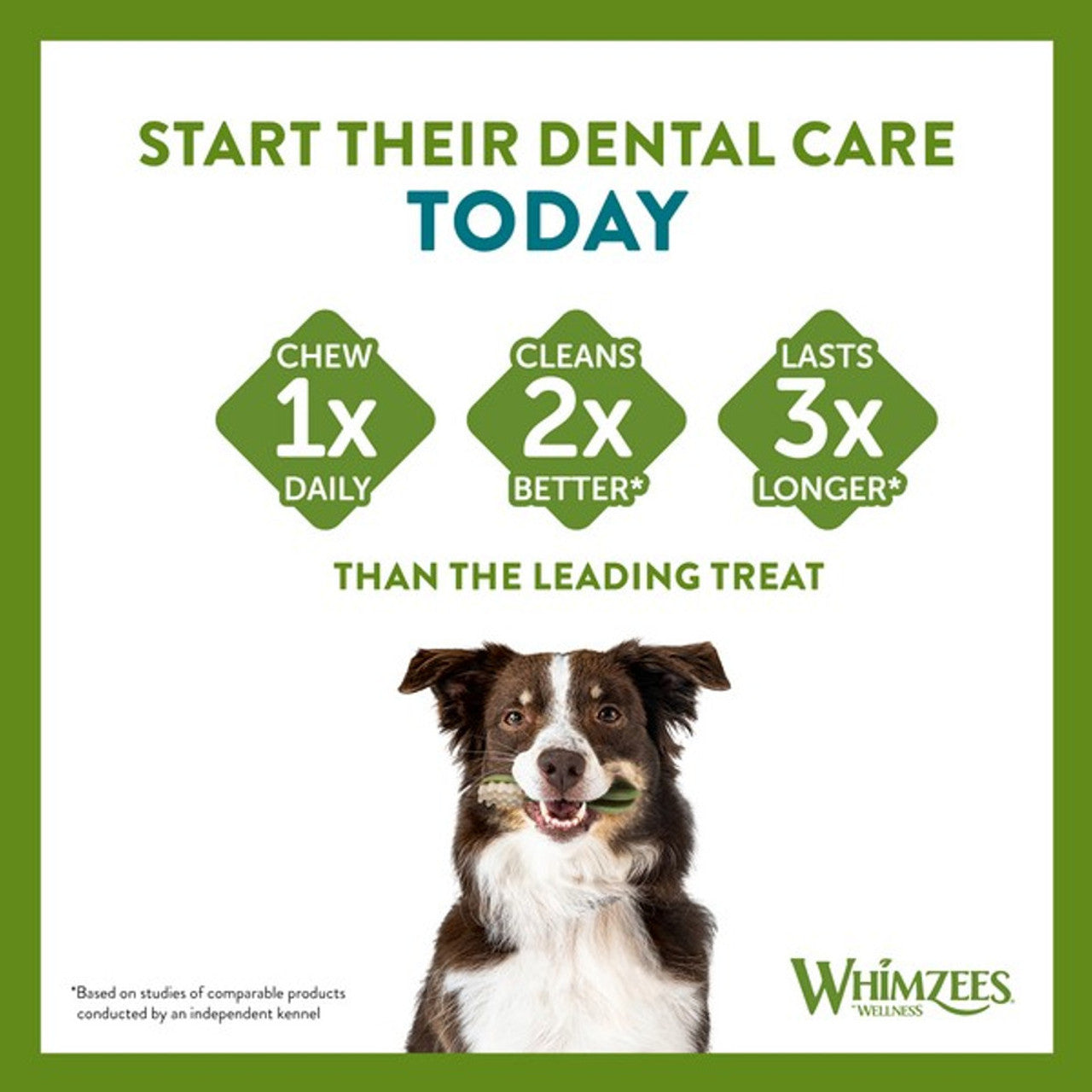 Whimzees Large Alligator Dog Dental Chews - 6 Pack