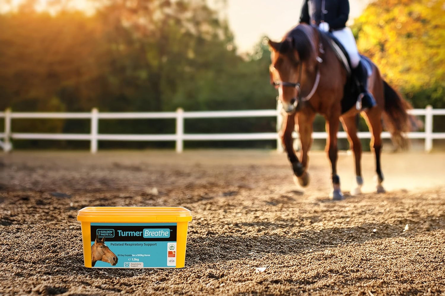 The Golden Paste Company TurmerBreathe 1.5kg Respiratory Supplement