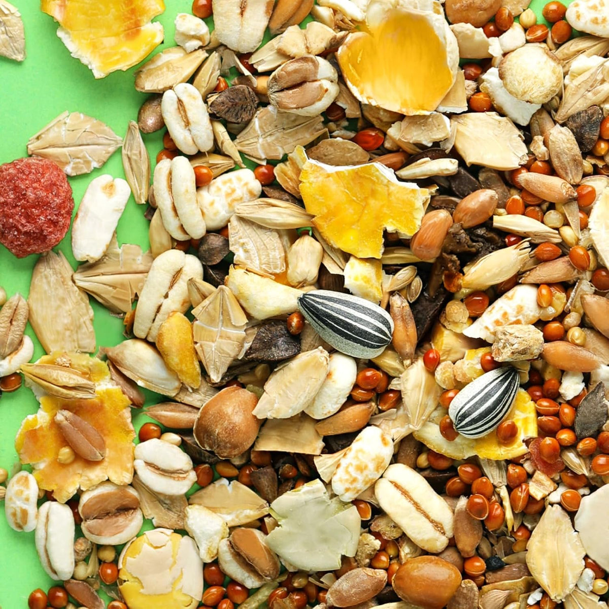 Little One Feed For Gerbils 400g | Complete Varied Muesli Daily Food