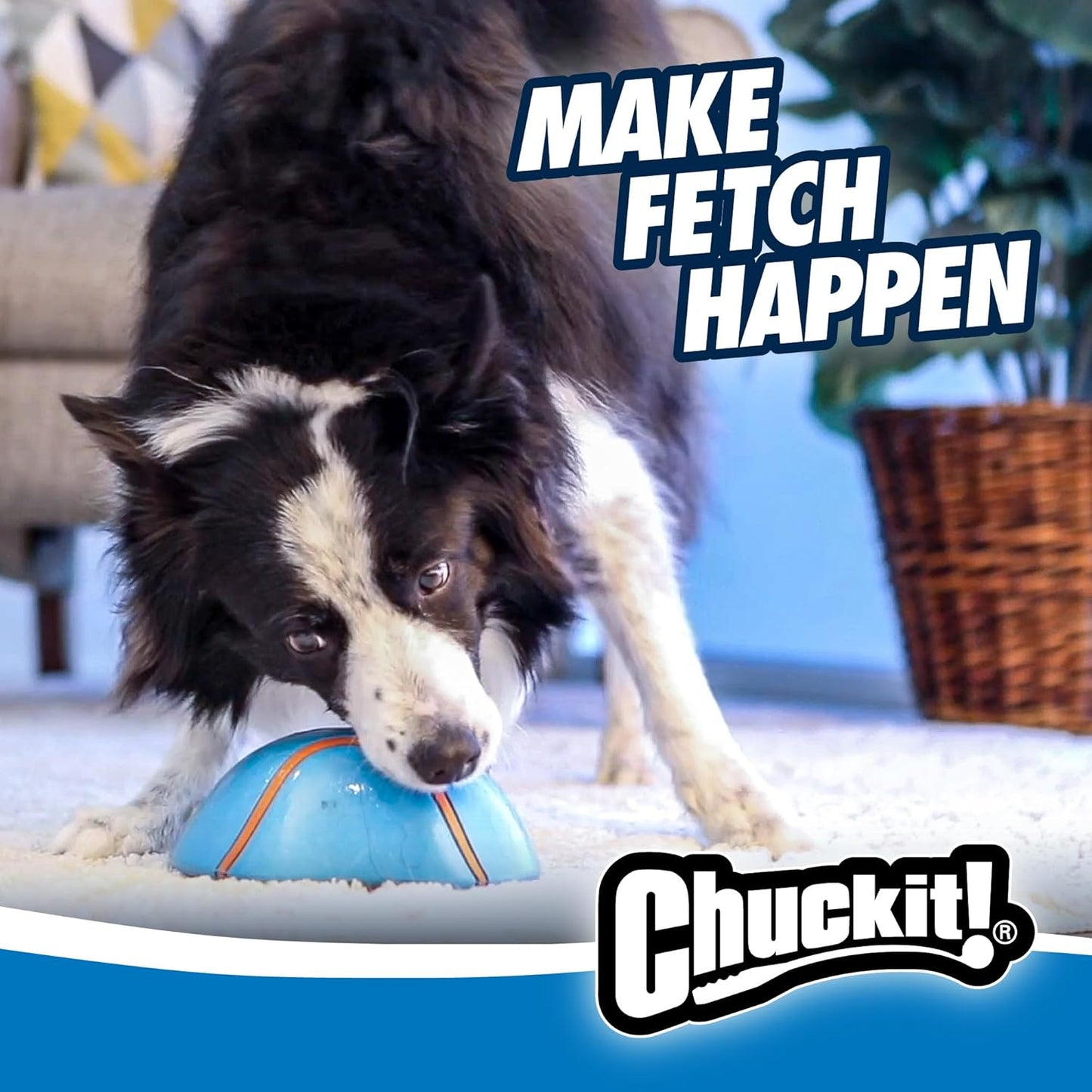 Chuckit! Super Slider Indoor Sliding Squeaker Dog Toy