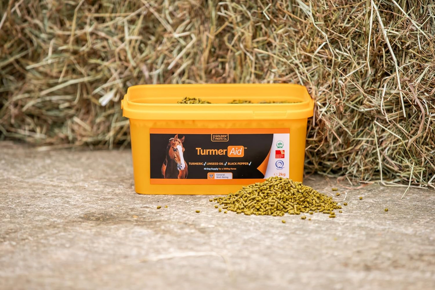 The Golden Paste Company TurmerAid Turmeric Horse Supplement