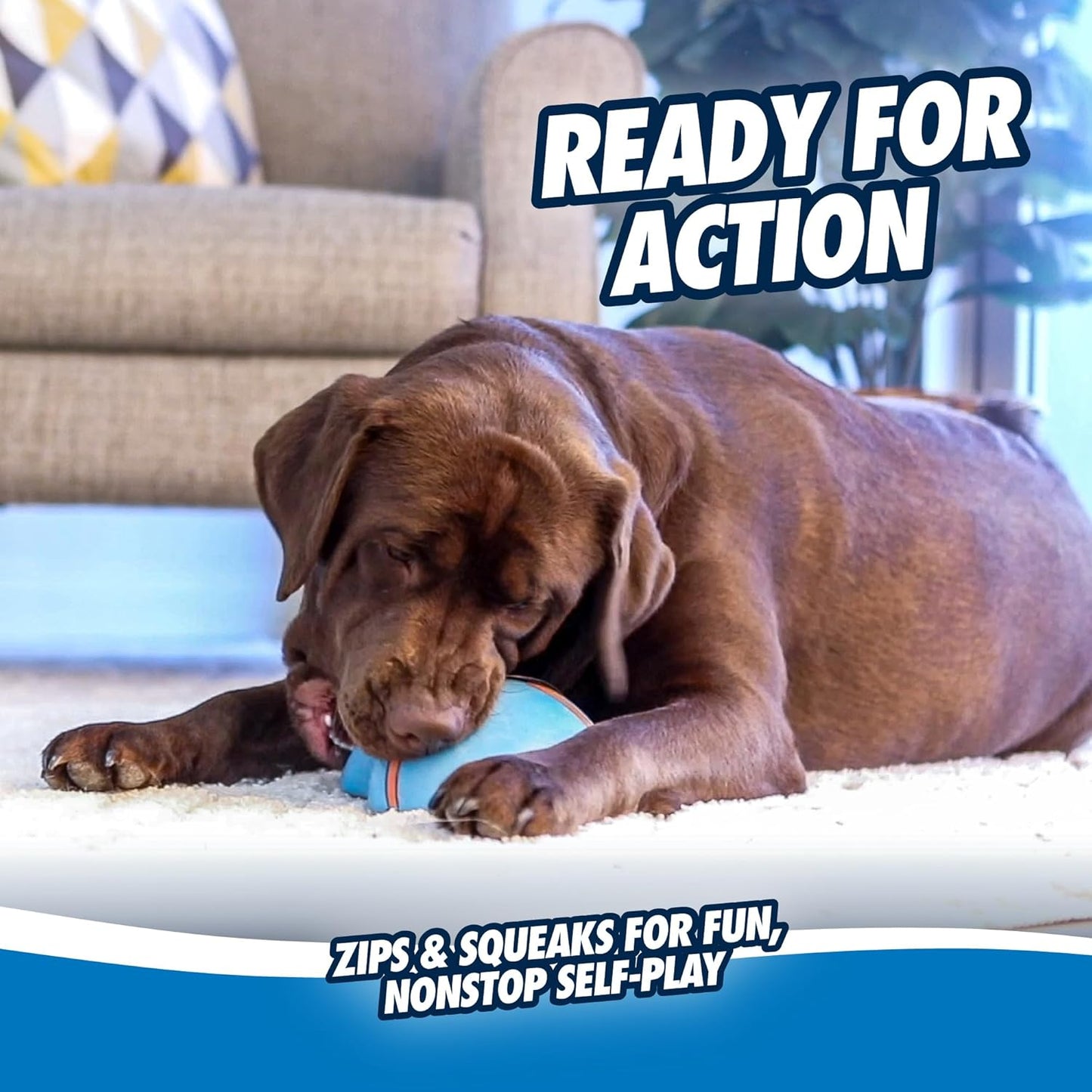 Chuckit! Super Slider Indoor Sliding Squeaker Dog Toy