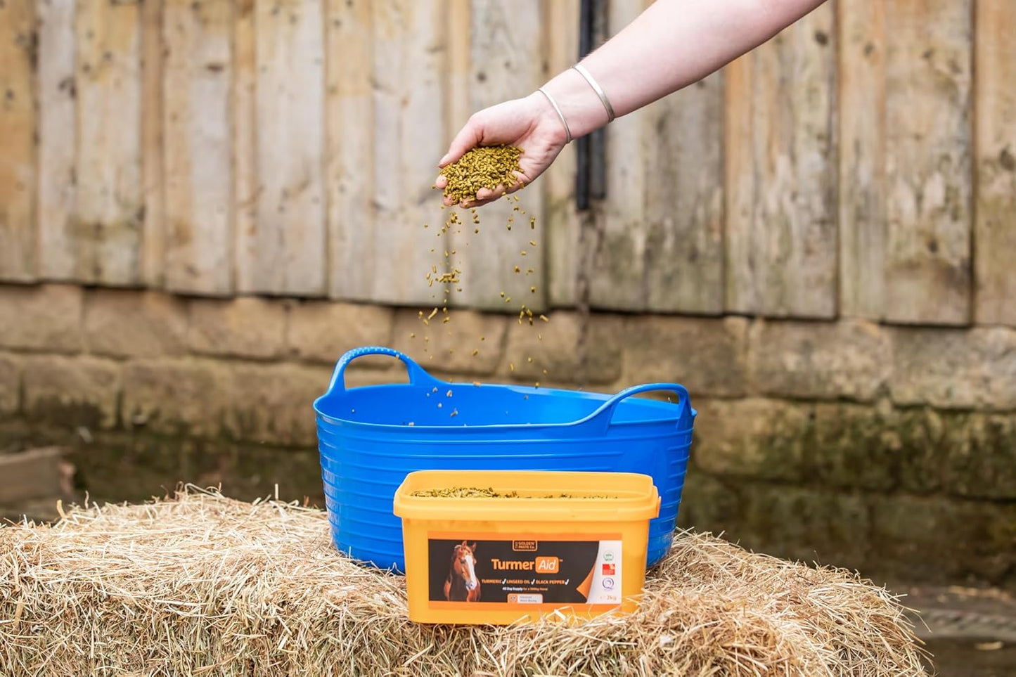 The Golden Paste Company TurmerAid Turmeric Horse Supplement