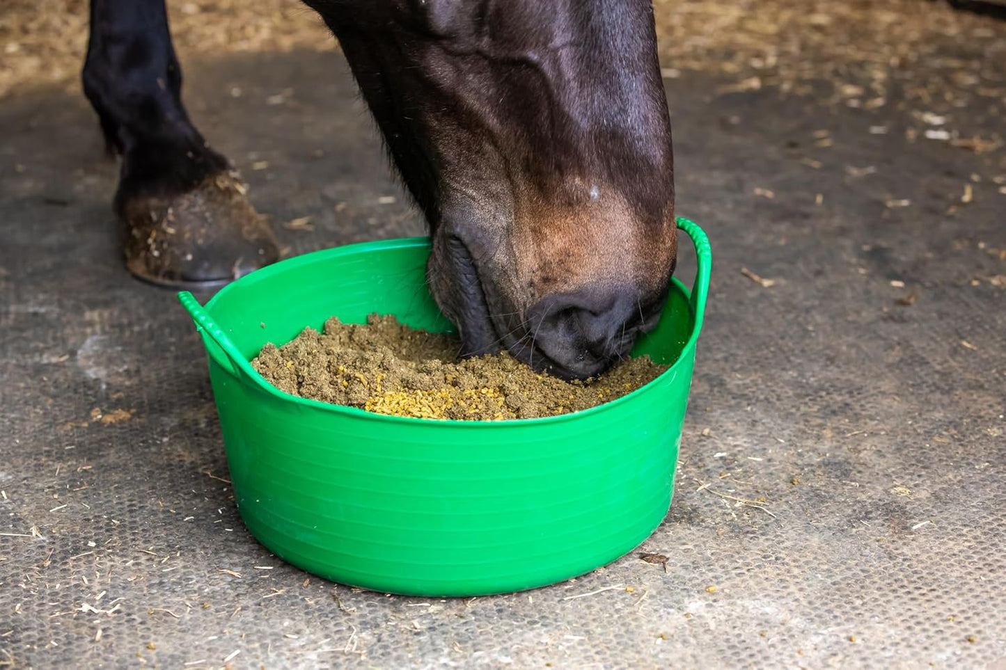 The Golden Paste Company TurmerItch for Horses 1.5kg Skin & Coat Supplement