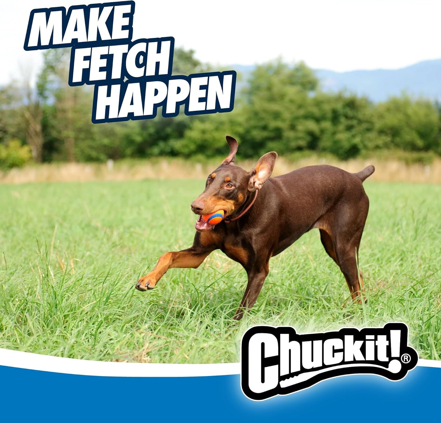 Chuckit! Ultra Ball 1 Pack Large 7.3cm