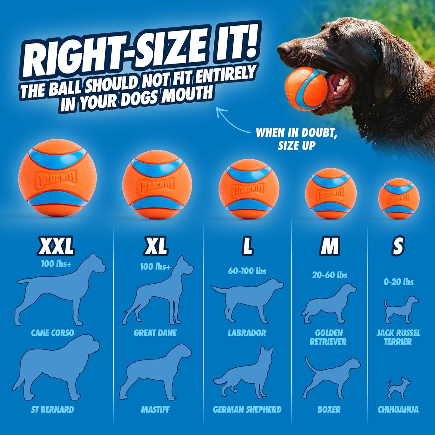 Chuckit! Ultra Ball 1 Pack Extra Large 9cm