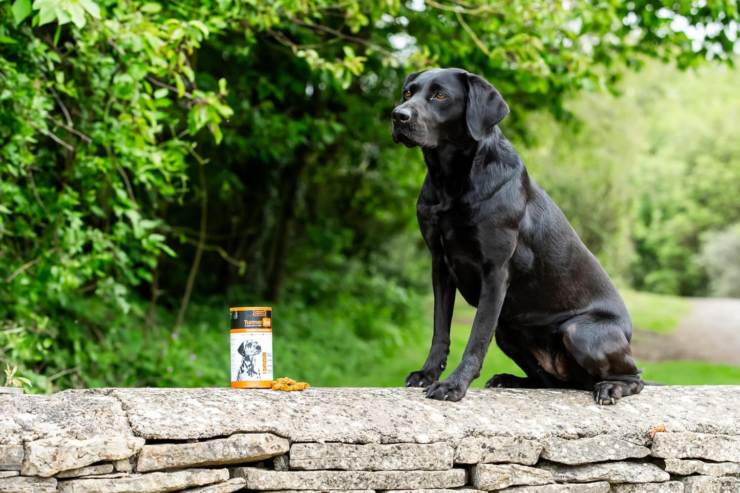 The Golden Paste Company TurmerEase Pet Supplement 300g