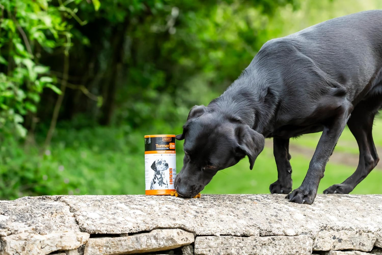 The Golden Paste Company TurmerEase Pet Supplement 300g