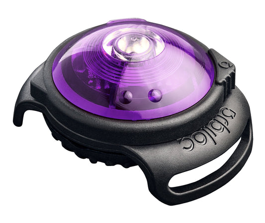 Orbiloc Dog Dual Safety Light Purple - Edward Leonard Conroy Ltd