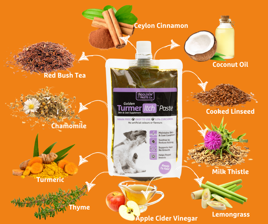 The Golden Paste Company TurmerItch Paste For Pets