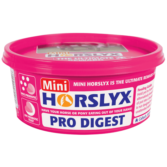 Horslyx Mini Horse Lick Pro Digest 650g - Edward Leonard Conroy Ltd