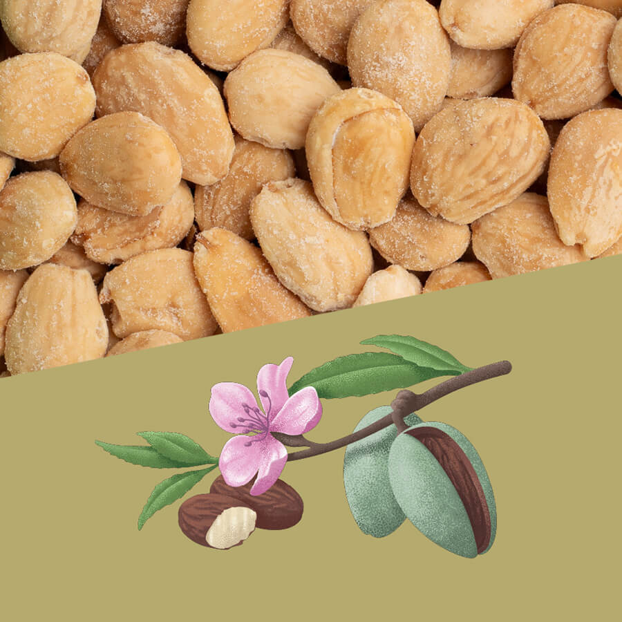 Perelló Salted Marcona Almonds 1kg