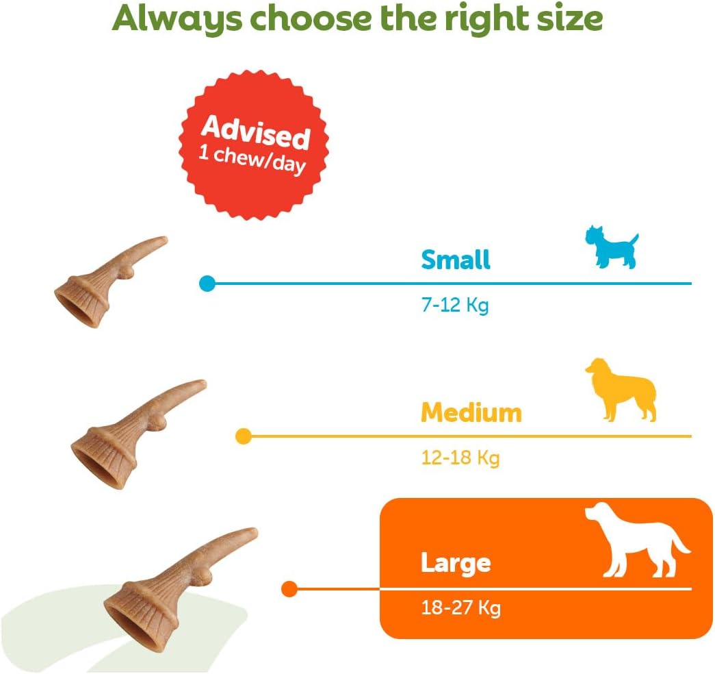 Whimzees Large Antler Dog Dental Chews - 6 Pack