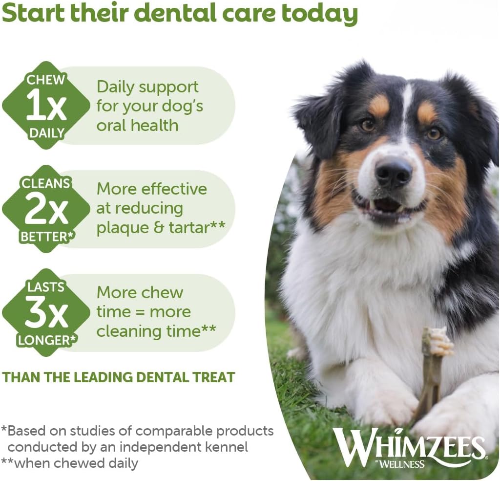 Whimzees Extra Small Toothbrush Dog Dental Chews - 48 Pack