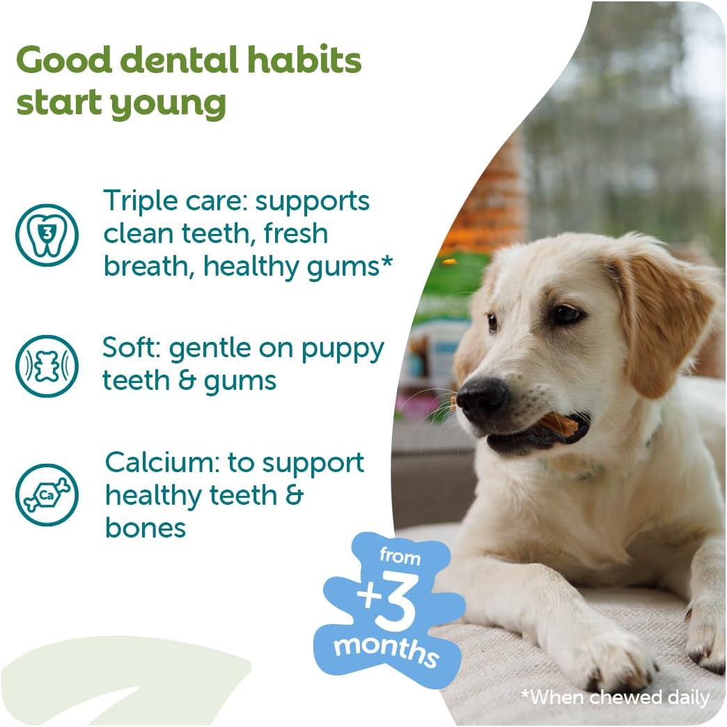 Whimzees XS/S Puppy Dental Chews - 28 Pack