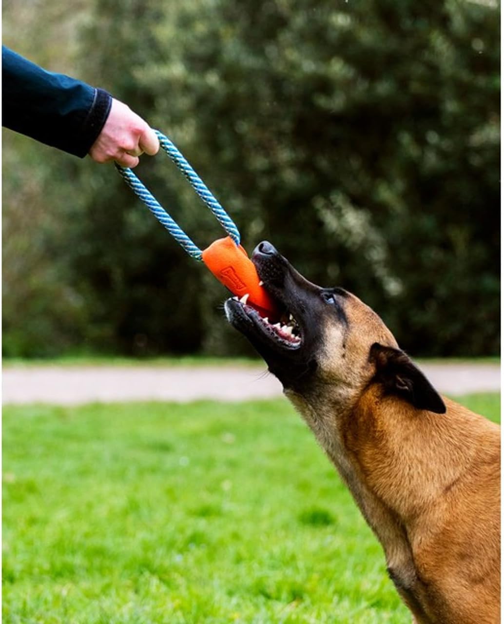 Chuckit! Ultra Bumper Tug Dog Toy | Interactive Tug & Fetch Toy