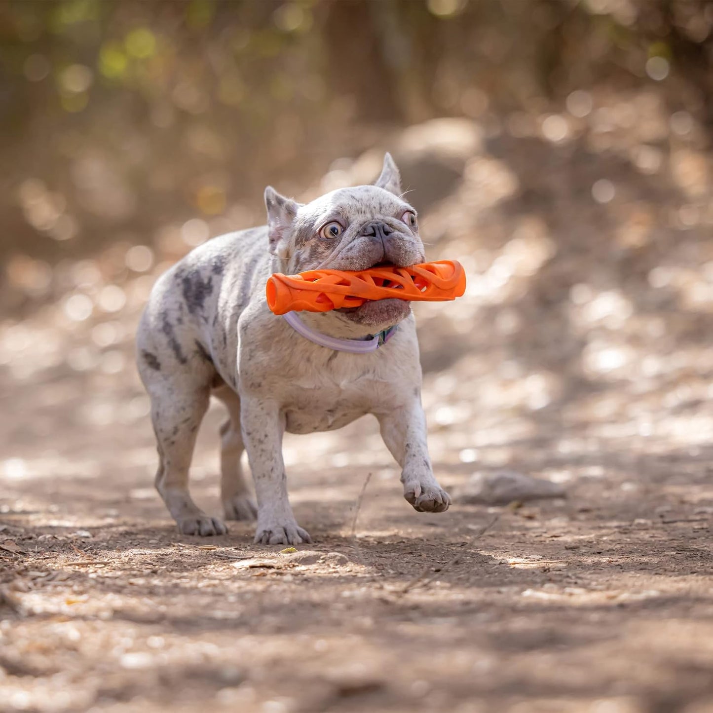 Chuckit! Air Fetch Stick Small