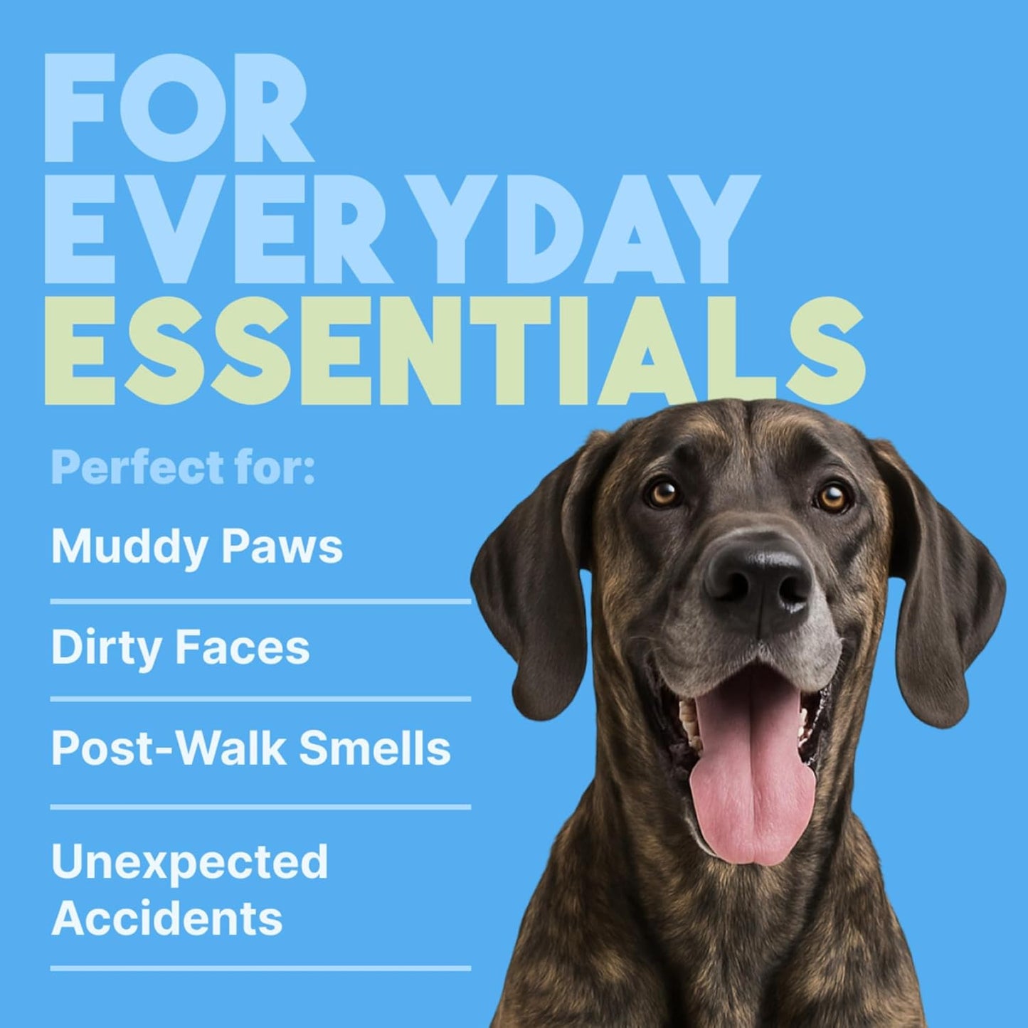 TropiClean Tropiclean Hypoallergenic Wipes 100s