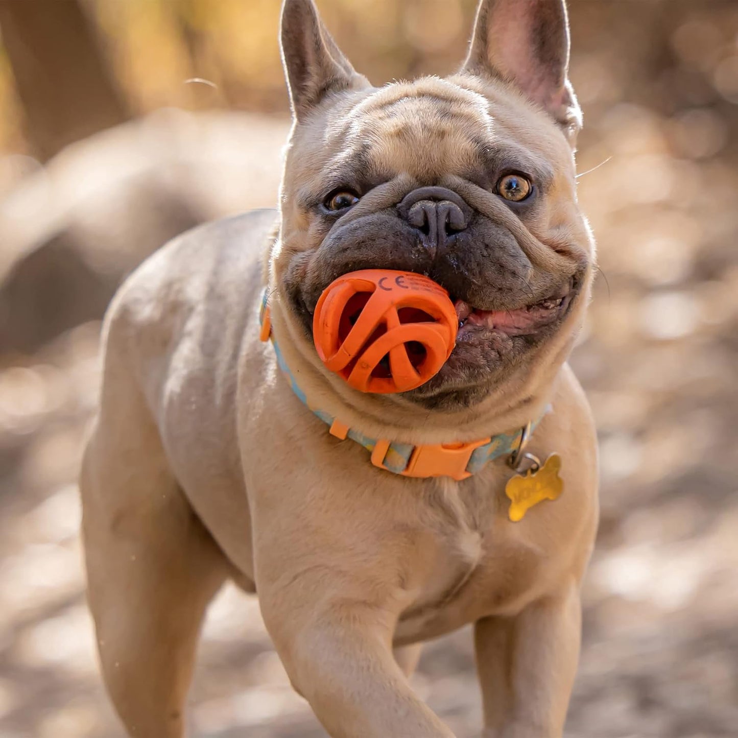 Chuckit! Air Fetch Ball Small (2pk) 4.8cm