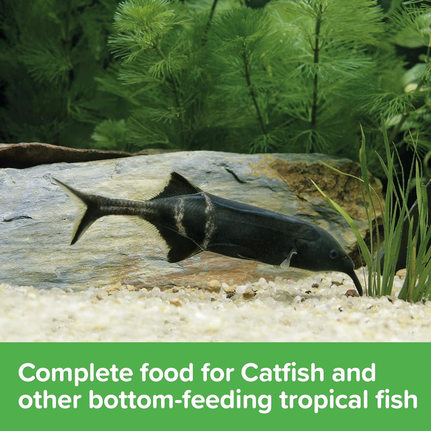 King British Catfish Pellets 600g