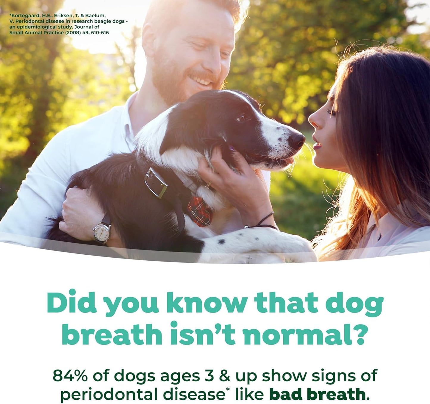 TropiClean Oral Care Foam 133ml