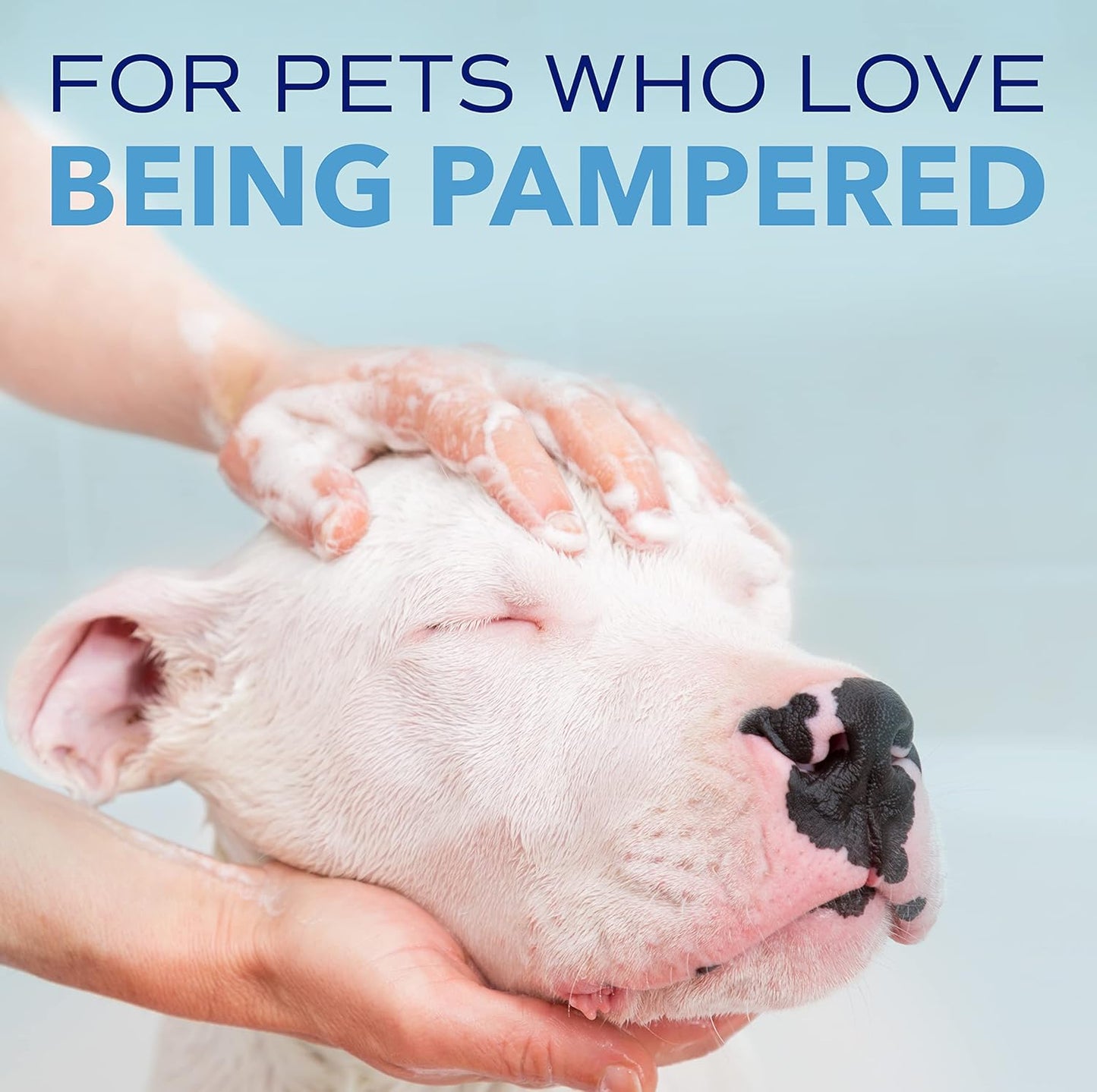 TropiClean SPA Blueberry Facial Cleanser & Tear Stain Remover for Cats & Dogs 236ml