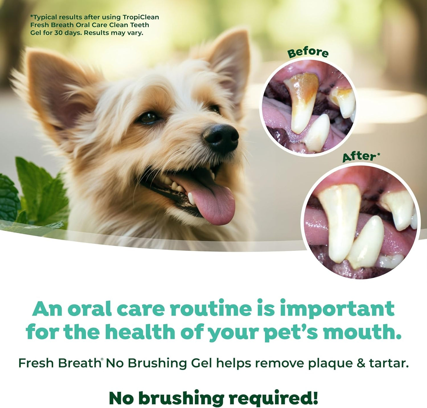TropiClean Fresh Breath Oral Care Gel for Dogs 118ml
