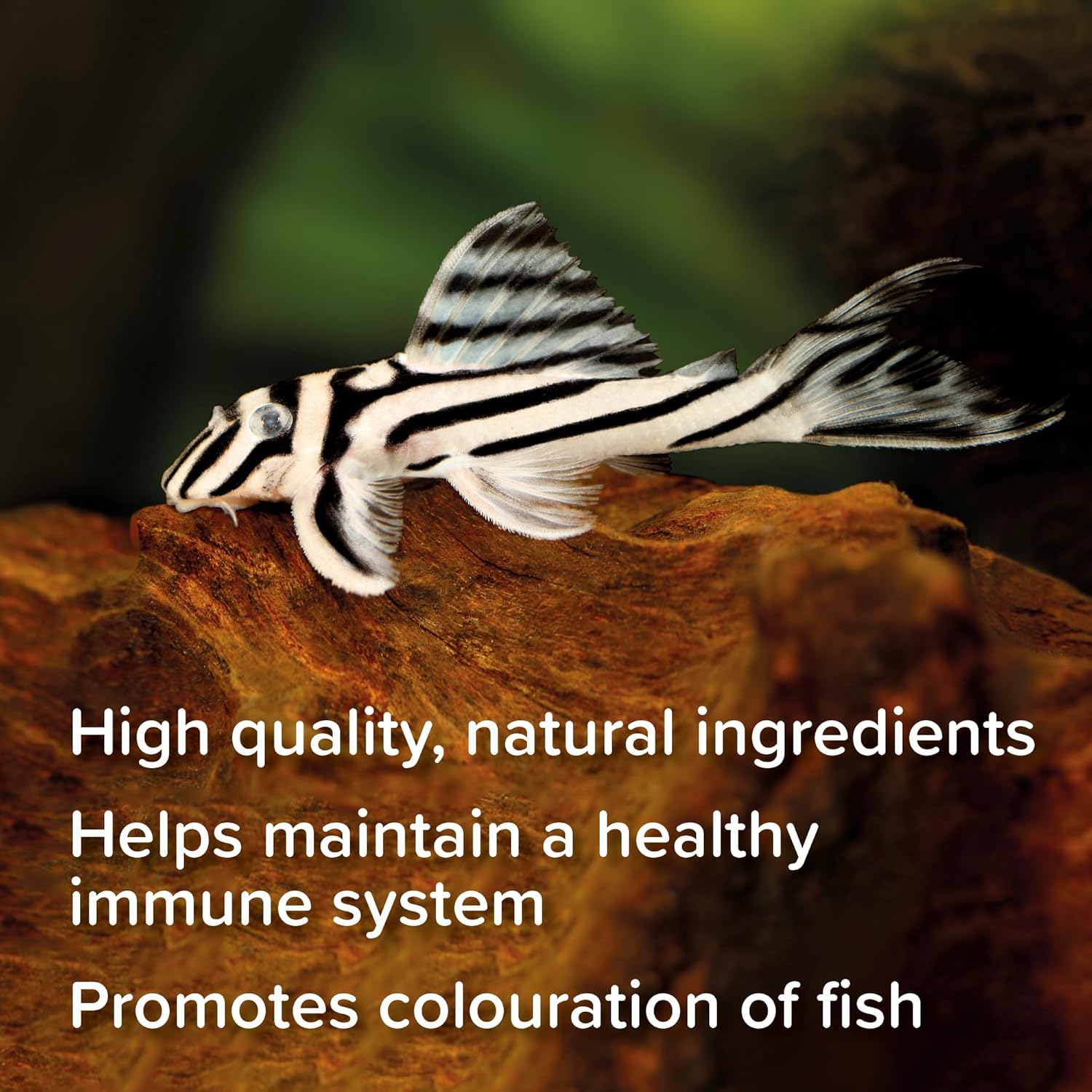 King British Catfish Pellets 600g