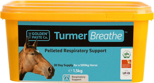 The Golden Paste Company TurmerBreathe 1.5kg Respiratory Supplement