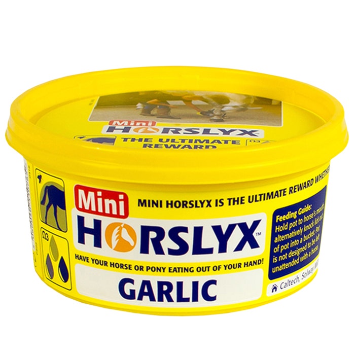 Horslyx Mini Horse Lick Garlic 650g