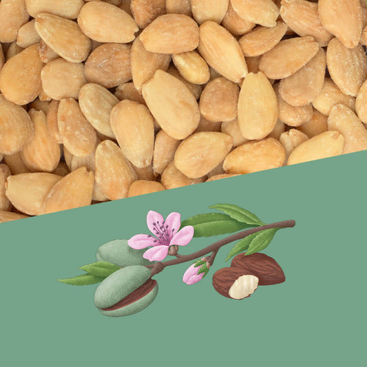 Perelló Salted Catalan Almonds 1kg
