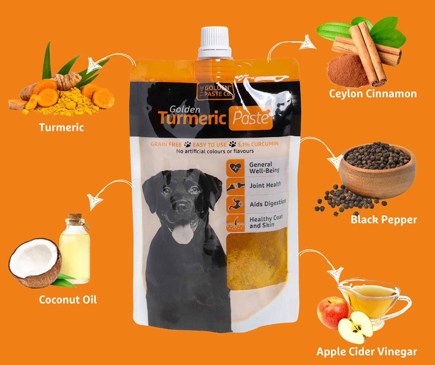The Golden Paste Company Golden Turmeric Paste for Dogs 200g