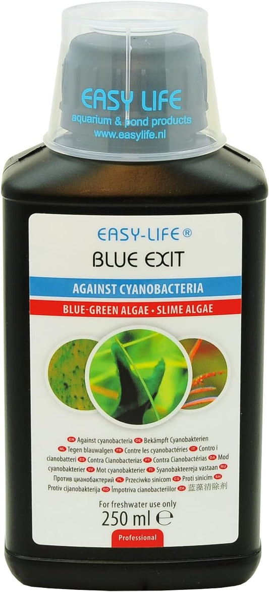 Easy Life Blue Exit, 250 ml
